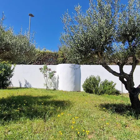 Maison Climatisee Avec Grand Jardin, Proche Et Commerces - Fr-1-610-102 Bormes-les-Mimosas